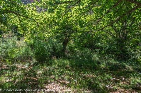 Luces y sombras por los senderos