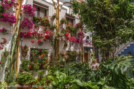 Patio calle Chaparro 3