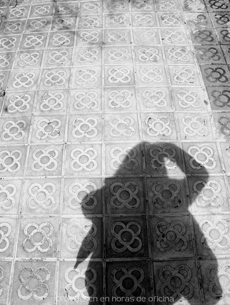 2014, DOCE MESES 2.0