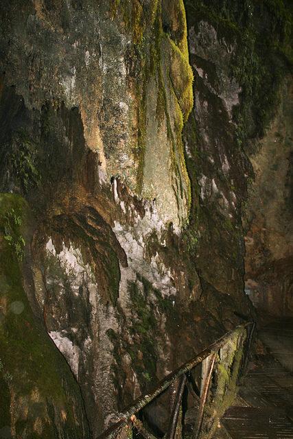 Parque Natural Monasterio de Piedra