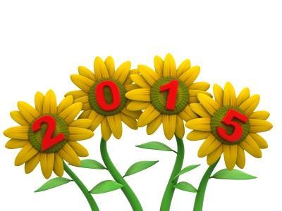¡¡ Feliz Año 2015 !! feliz año 2015