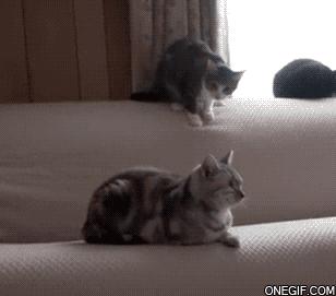 ¡¡¡ FELIZ 2015 !!!