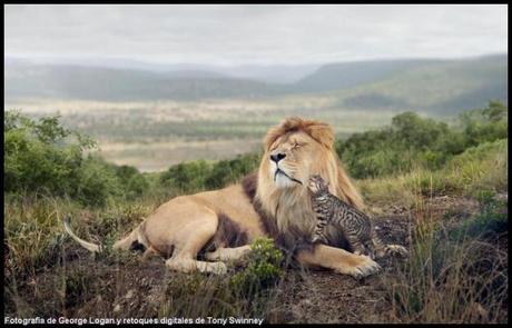 George Logan  Sony World Photography Awards