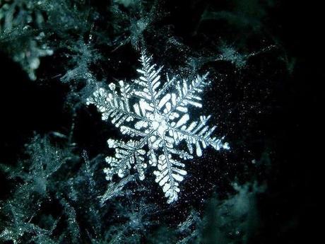 Tormenta (Mark Strand)