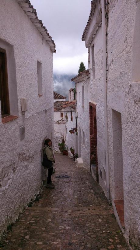 El sur también es verde: Segura de la Sierra I