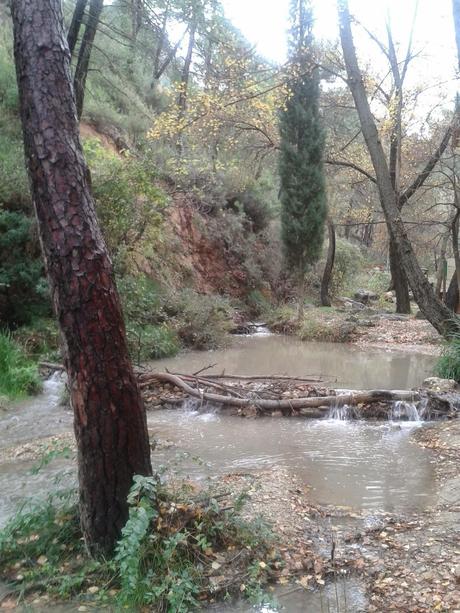 El sur también es verde: Segura de la Sierra I