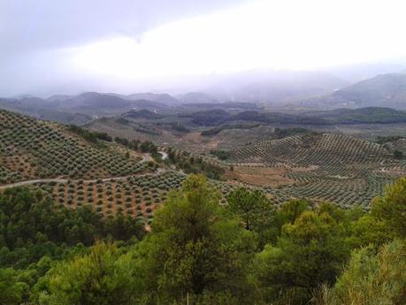 El sur también es verde: Segura de la Sierra II