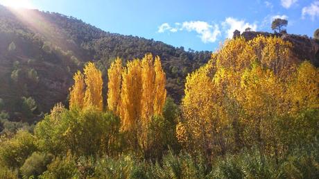 El sur también es verde: Segura de la Sierra II