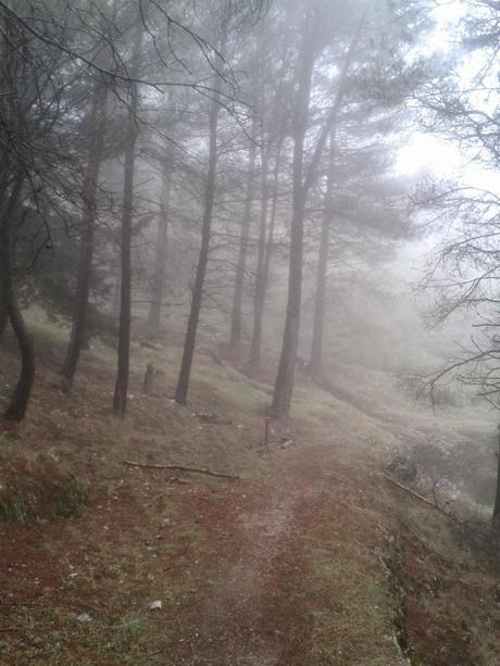 El sur también es verde: Segura de la Sierra II