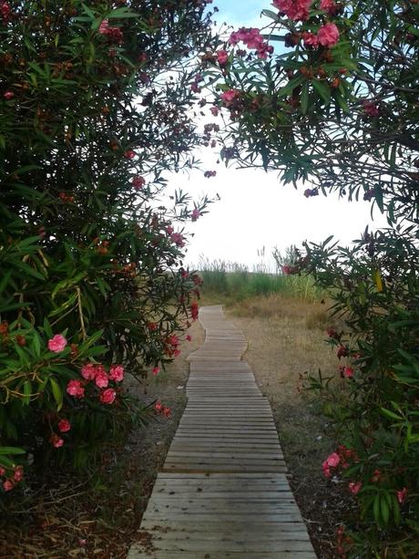 Hay mil razones para volver, y mil y una para partir.