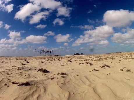 Jericoacoara - Belém