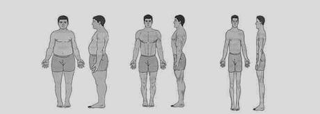 Somatotipo y desarrollo muscular