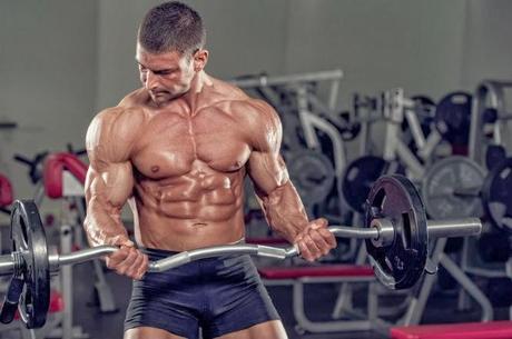 testosterona y desarrollo muscular
