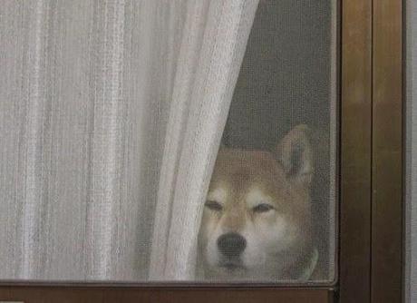 Resumen 2014 y comienzo del 2015