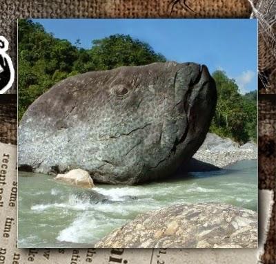 Mensajes de la naturaleza (y II)