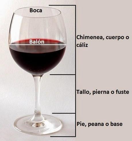 ¿Cómo influye la copa a la hora de catar un vino?