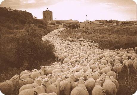 Cañada Real Segoviana a su paso por Toledo