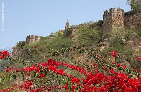 Birla Mandir y Moti Doongri Palace