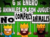 animales juguete