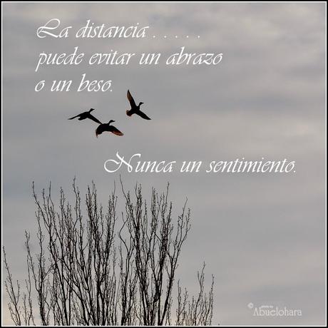 Poema a los Ausentes - Abuelohara