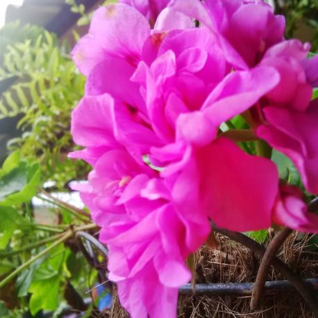 2015, un nuevo año, nuevos propósitos.