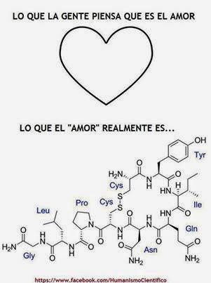 El chocolate y el amor, ¿cuestión de química?
