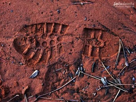 Dejando huella. Fotografía creativa - Fotografía decorativa