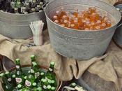 Para tener bebidas bien fresquitas