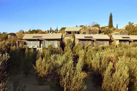 The Olive Exclusive, un hotel con comodidad chic The Olive Exclusive, un hotel con comodidad chic