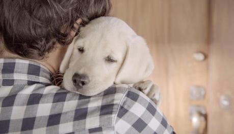 Budweiser, friends are waiting