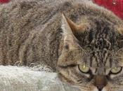 oportunidades para disfrutar vida