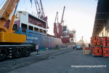 CAMPAÑA ANTÁRTICA DE VERANO 2014/2015
