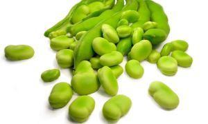 Fruta y verdura de temporada: Enero Fruta y verdura de temporada: Enero