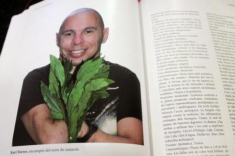 Estrellas de la Dieta Mediterránea. Patrimonio inmaterial de la humanidad por la UNESCO.