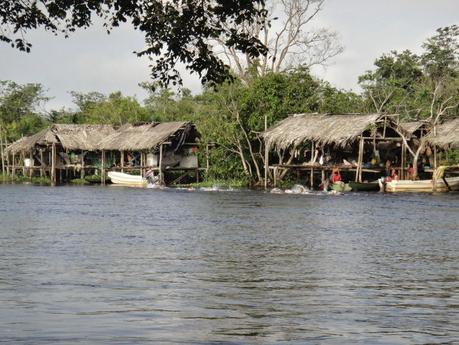 Paso a Nado #OrinocoCaroní2014, parte I