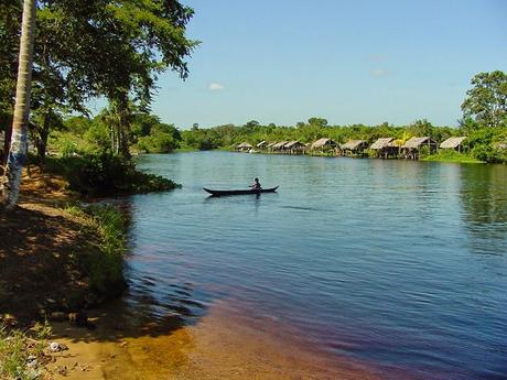 Paso a Nado #OrinocoCaroní2014, parte I