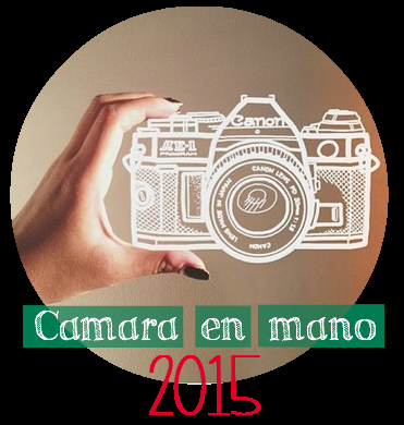 Retos 2015 Retos 2015