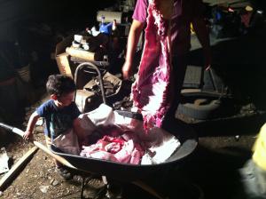 niño jugando con intestinos de cordero