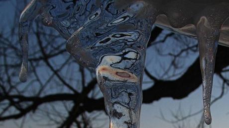 13034385504_049da667f6_z