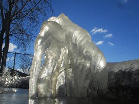 15848353855_2b8f1a13b7_z