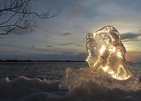 12461335614_25701b609f_z