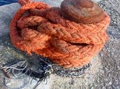 Popular 2014. Feliz 2015