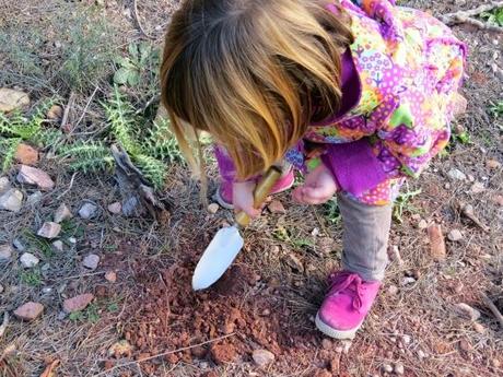 Sembrando bosques por año nuevo