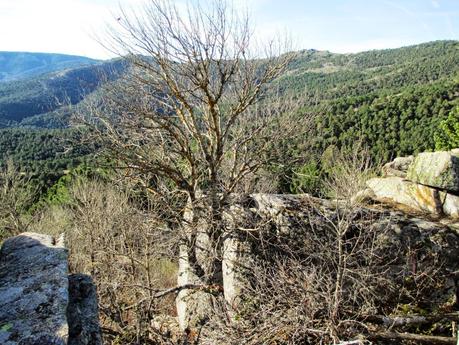 CERRO DE LOS ÁLAMOS BLANCOS