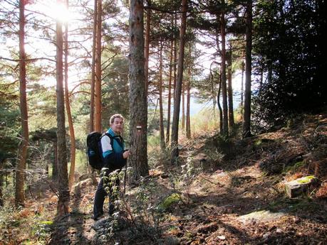 CERRO DE LOS ÁLAMOS BLANCOS