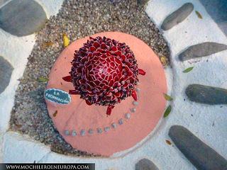 Museo Jardín de las Piedras Marinas Soñadoras