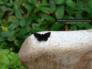 Visita al Museo del Jardín de Las Piedras Marinas Soñadoras-Fundhea