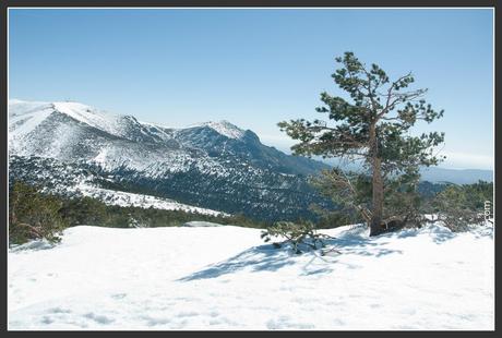 Excursión raquetas de nieve desde el Puerto de Navacerrada