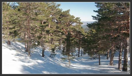 Excursión raquetas de nieve desde el Puerto de Navacerrada