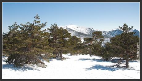 Excursión raquetas de nieve desde el Puerto de Navacerrada